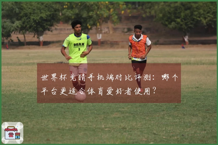 世界杯竞猜手机端对比评测：哪个平台更适合体育爱好者使用？