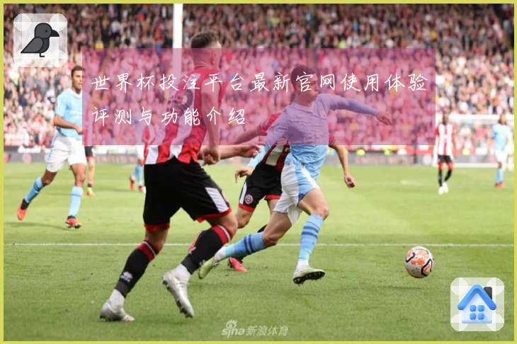 世界杯投注平台最新官网使用体验评测与功能介绍