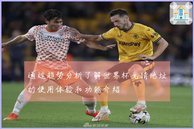 通过趋势分析了解世界杯竞猜地址的使用体验和功能介绍