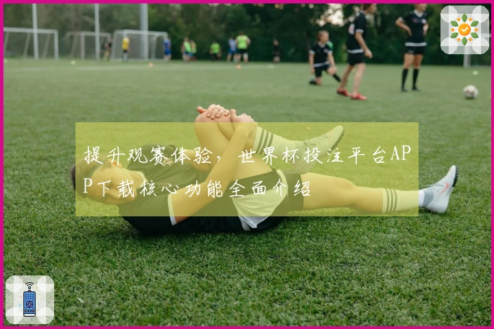 提升观赛体验，世界杯投注平台APP下载核心功能全面介绍
