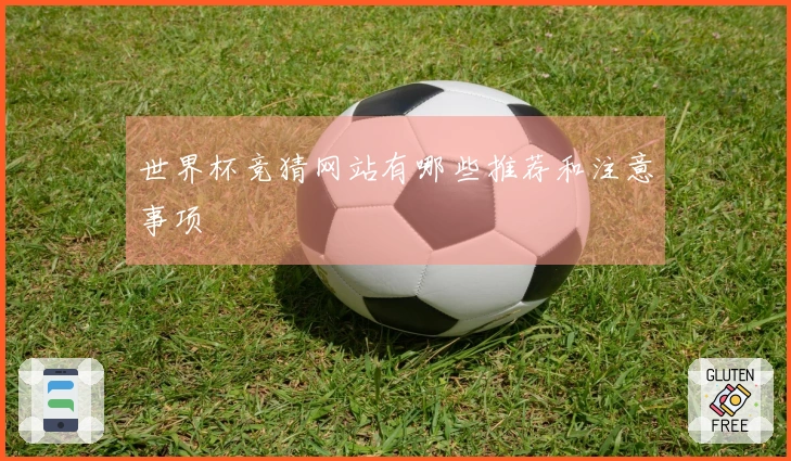 世界杯竞猜网站有哪些推荐和注意事项