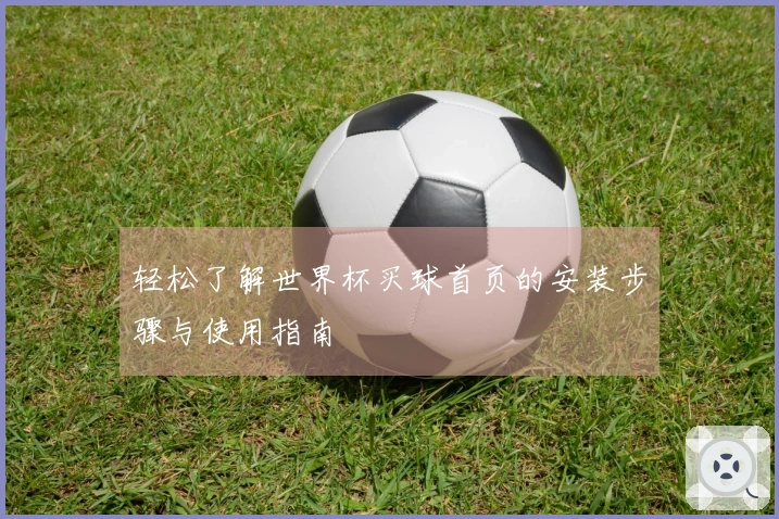轻松了解世界杯买球首页的安装步骤与使用指南