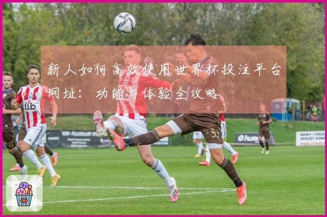 新人如何高效使用世界杯投注平台网址：功能与体验全攻略