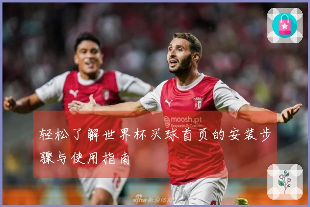 轻松了解世界杯买球首页的安装步骤与使用指南