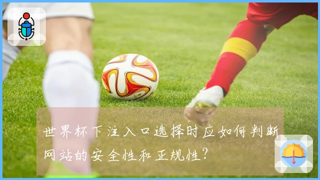 世界杯下注入口选择时应如何判断网站的安全性和正规性？