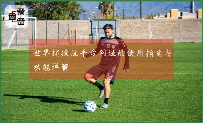 世界杯投注平台网址的使用指南与功能详解