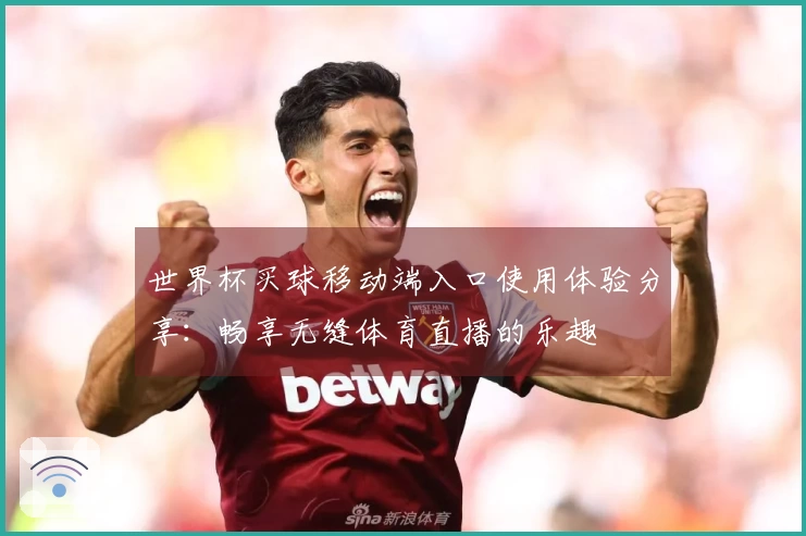 世界杯买球移动端入口使用体验分享：畅享无缝体育直播的乐趣