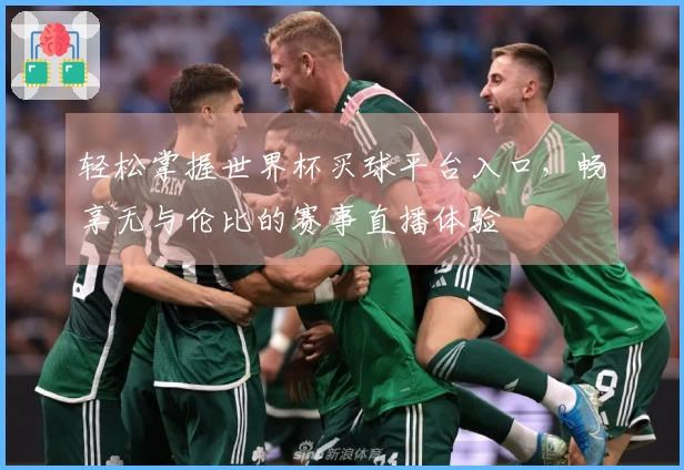 轻松掌握世界杯买球平台入口，畅享无与伦比的赛事直播体验