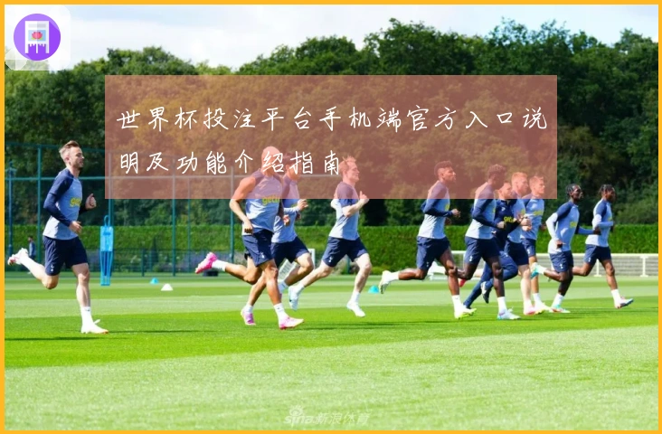 世界杯投注平台手机端官方入口说明及功能介绍指南