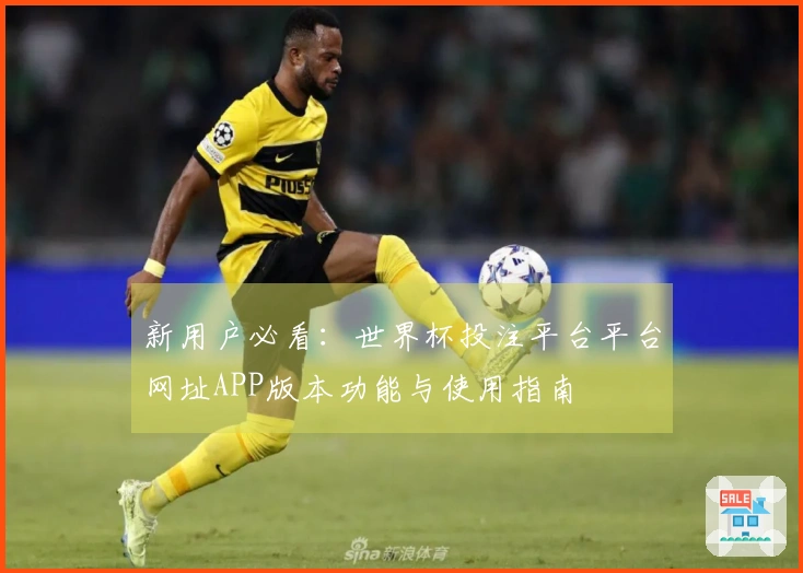 新用户必看：世界杯投注平台平台网址APP版本功能与使用指南