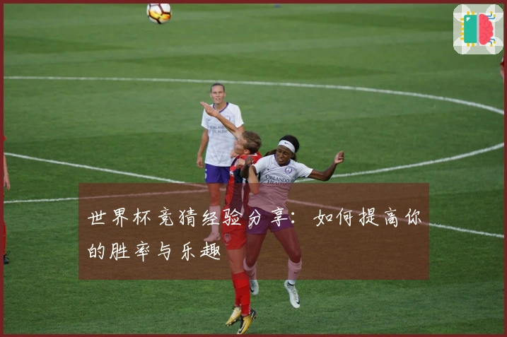 世界杯竞猜经验分享：如何提高你的胜率与乐趣