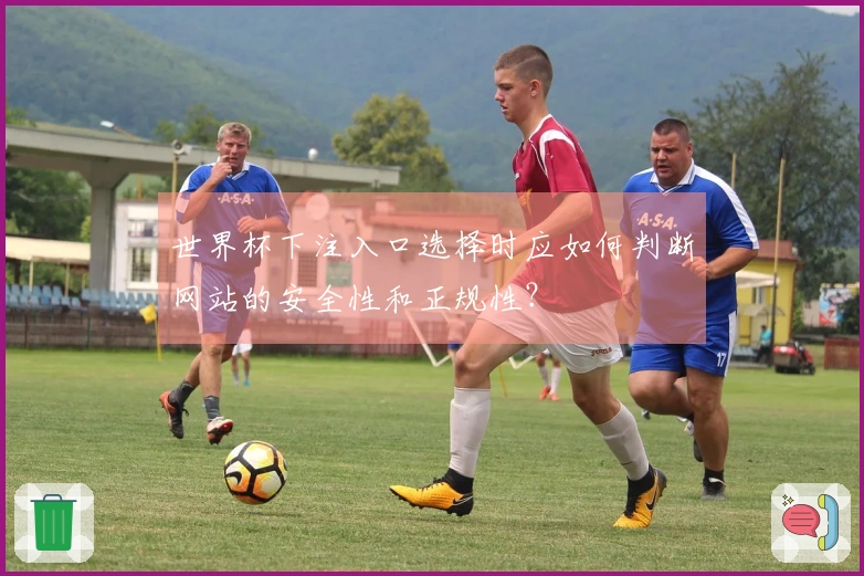 世界杯下注入口选择时应如何判断网站的安全性和正规性？